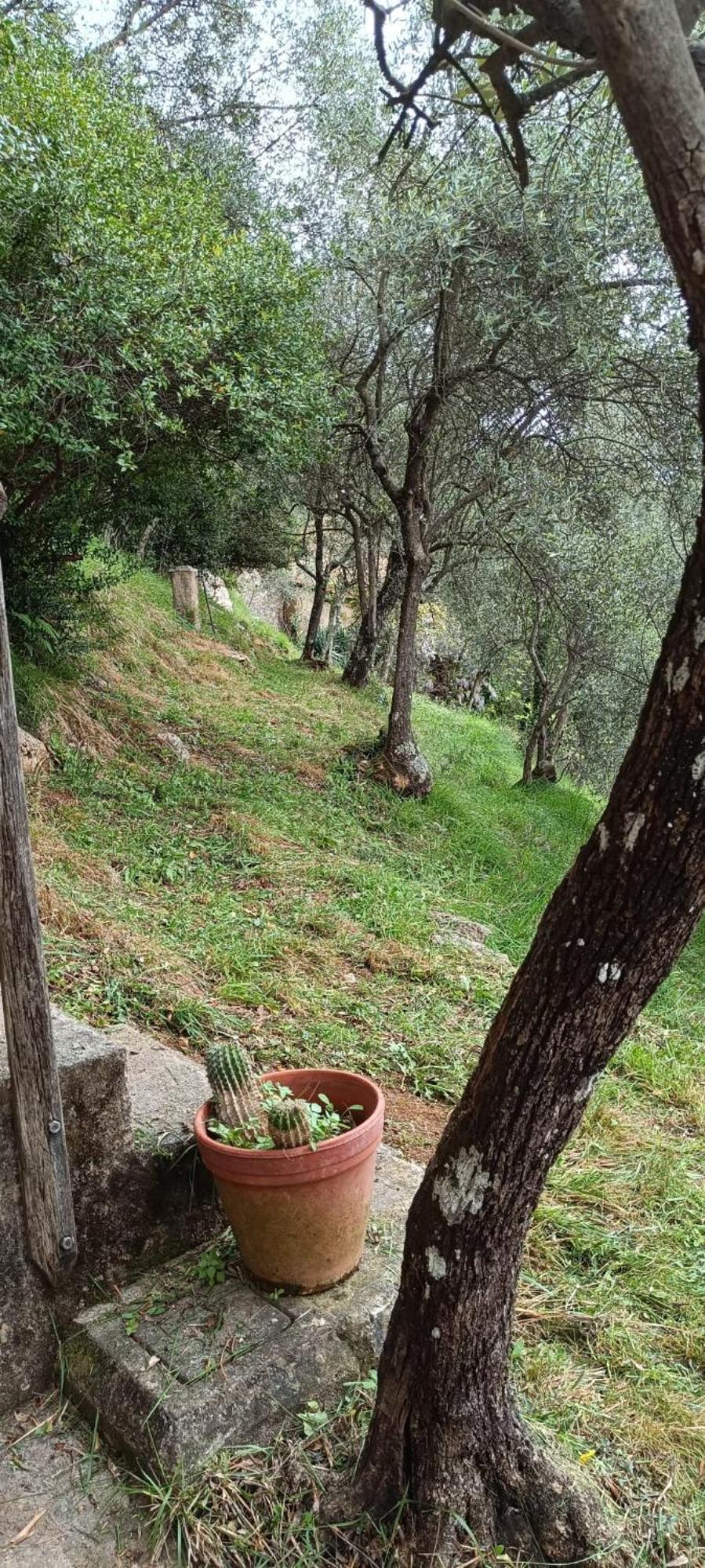 La Ghiandaia Monteggiori Vila Culla Exterior foto