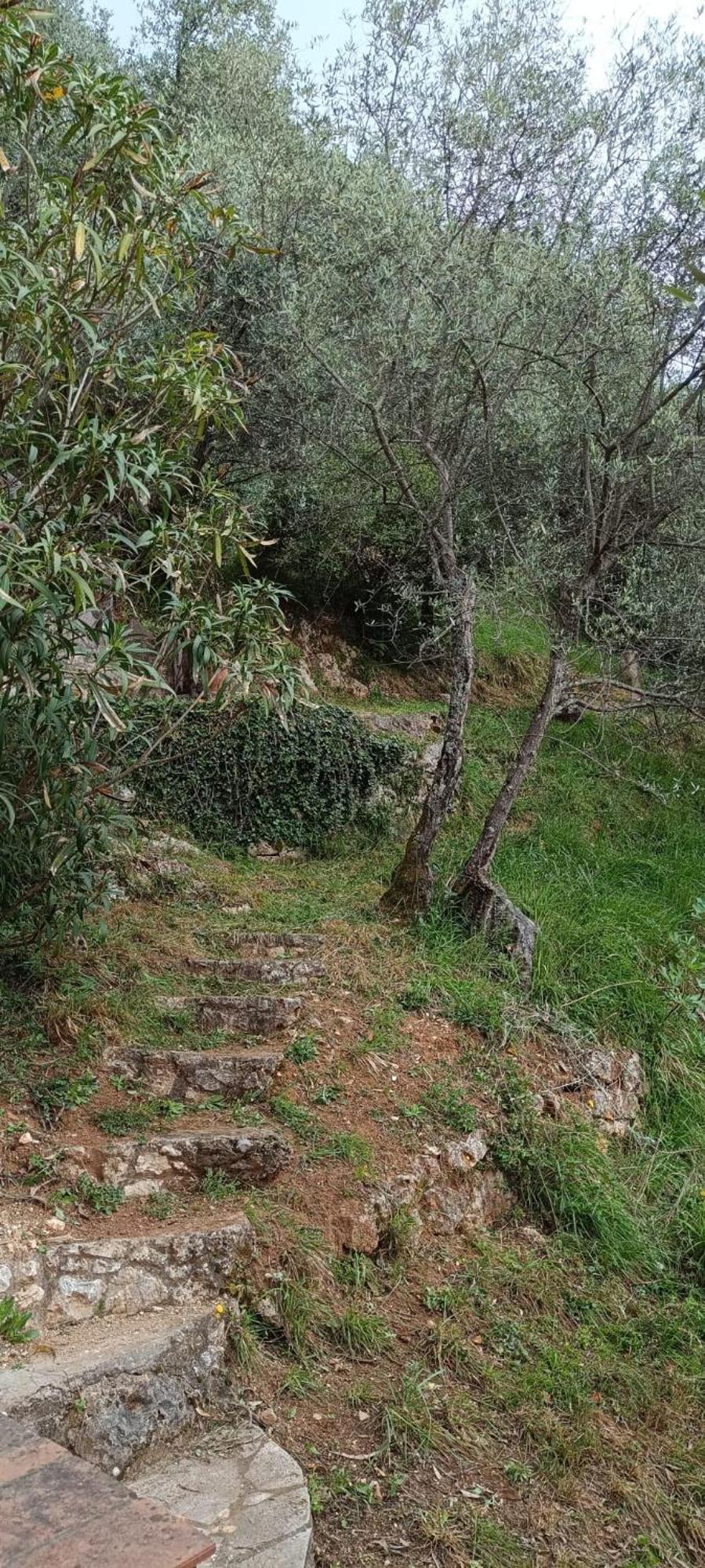 La Ghiandaia Monteggiori Vila Culla Exterior foto